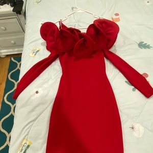 Red rose collar above knee dress